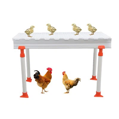 Plastikinė paukštyno mėšlo lenta paukštynui